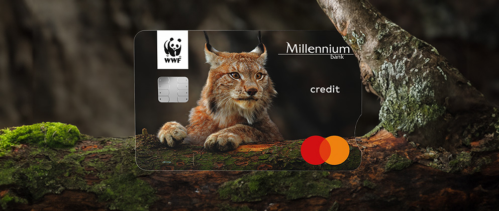 Jak ubiegać się o kartę Millennium WWF Mastercard Przewodnik krok po kroku